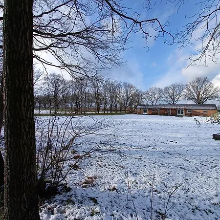 De Maplerik Holiday home